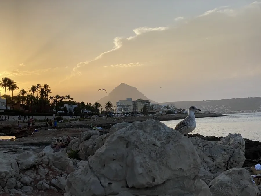 Atardecer, con el Montgó al fondo